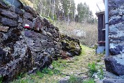 17 Caprini (1195 m), seguo i bolli bianco-rossi